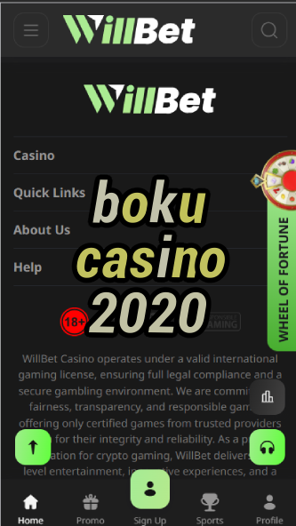 Boku Casino 2020 - Pay-by-Phone Casinos (2020)-casinoorder.vip